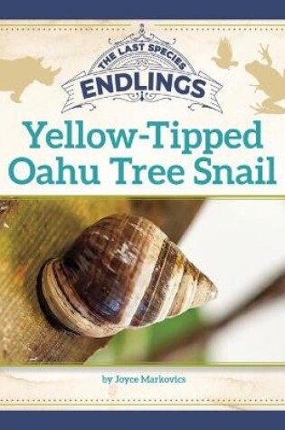 Cover of Yellow-Tipped Oahu Tree Snail