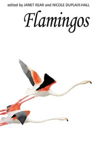 Cover of Flamingos