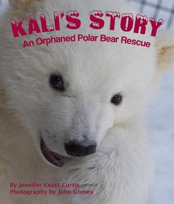 Book cover for Kali's Story: An Orphaned Polar Bear Rescue