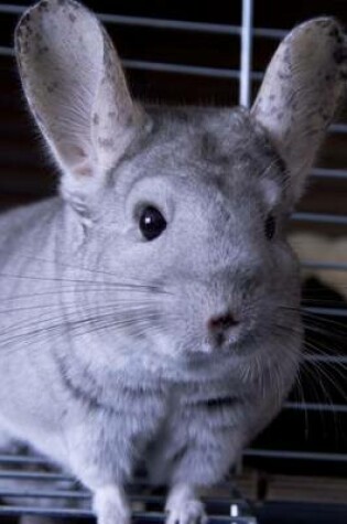 Cover of Adorable Gray Chinchilla Animal Journal