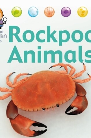 Cover of Nora the Naturalist's Animals: Rock Pool Animals