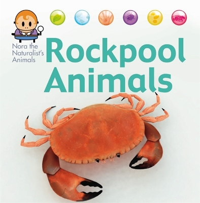 Cover of Nora the Naturalist's Animals: Rock Pool Animals