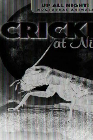 Cover of Crickets at Night