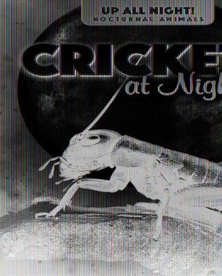 Cover of Crickets at Night