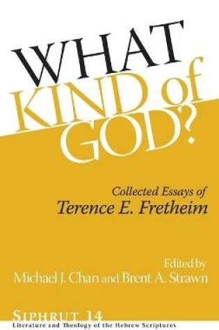 Cover of What Kind of God?