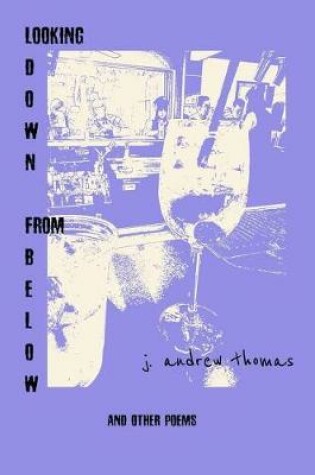 Cover of Looking Down From Below