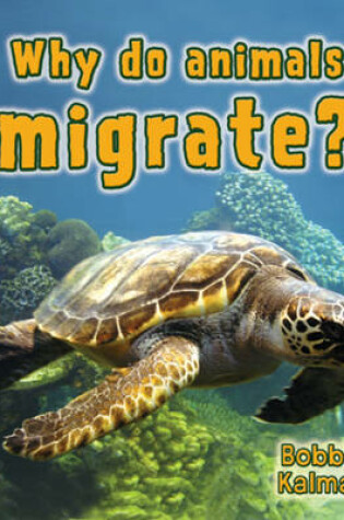 Cover of What Do Animals Migrate