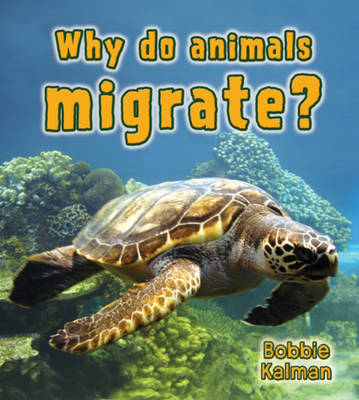 Book cover for What Do Animals Migrate
