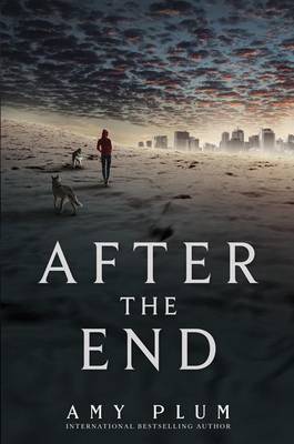 Book cover for After the End