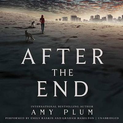 Book cover for After the End