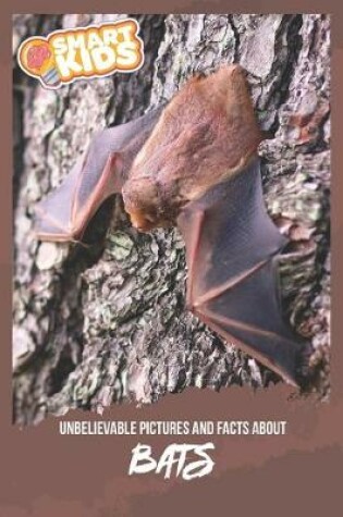 Cover of Unbelievable Pictures and Facts About Bats