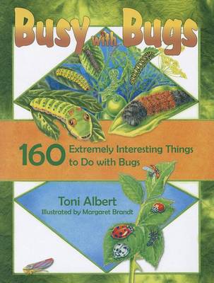 Book cover for Busy with Bugs