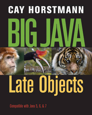 Book cover for Big Java: Late Objects 1e + WileyPLUS Registration Card