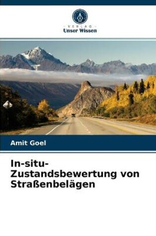 Cover of In-situ-Zustandsbewertung von Strassenbelagen