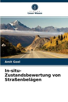 Book cover for In-situ-Zustandsbewertung von Strassenbelagen