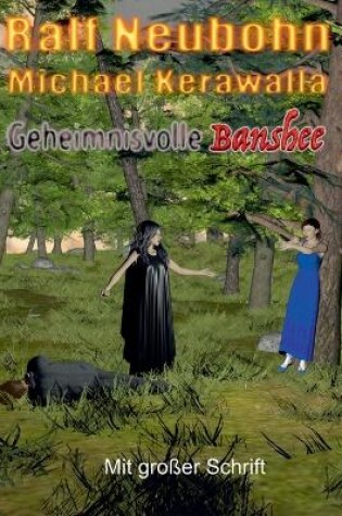 Cover of Geheimnisvolle Banshee