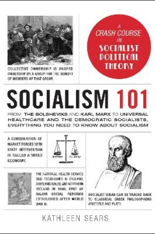 Cover of Socialism 101