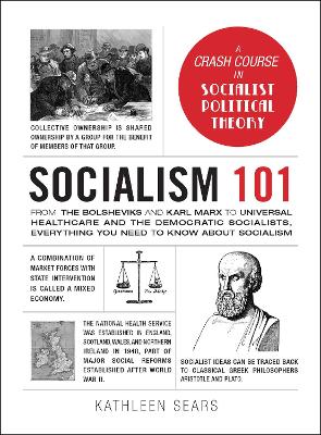 Book cover for Socialism 101