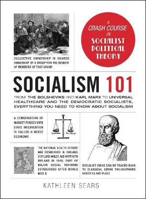 Book cover for Socialism 101