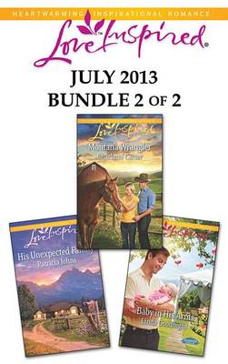 Book cover for Love Inspired July 2013 - Bundle 2 of 2