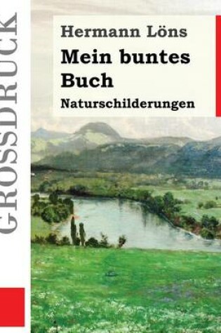 Cover of Mein buntes Buch (Grossdruck)