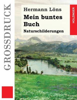 Book cover for Mein buntes Buch (Grossdruck)