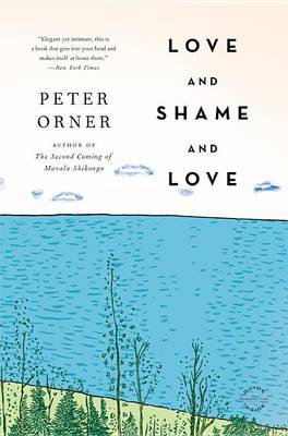 Book cover for Love and Shame and Love