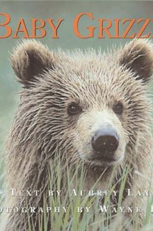 Cover of Baby Grizzly