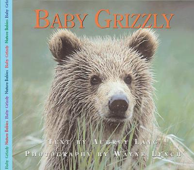 Book cover for Baby Grizzly