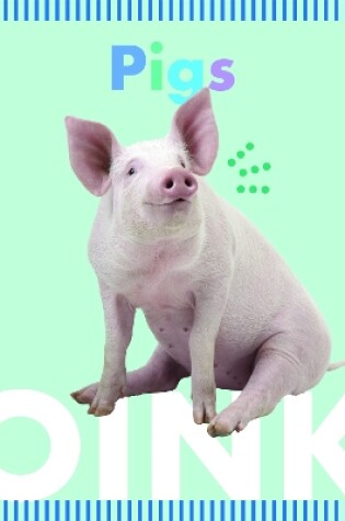 Cover of Pigs Oink