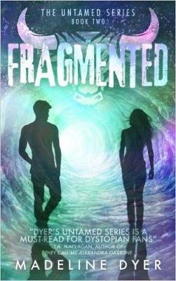 Cover of Fragmented