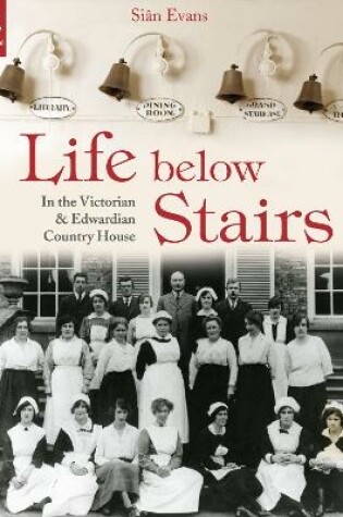 Cover of Life Below Stairs