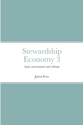 Book cover for Stewardship Economy 3