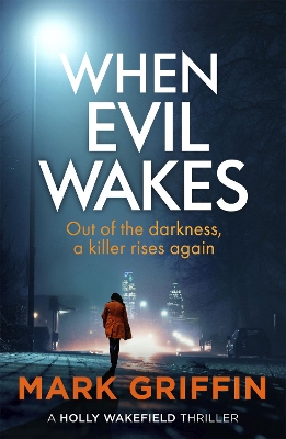 Book cover for When Evil Wakes