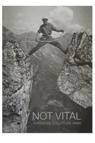 Cover of Not Vital: Yorkshire Sculpture Park Exhibition Guide