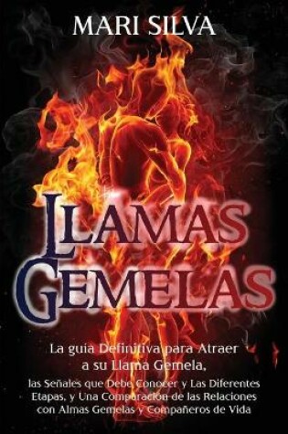 Cover of Llamas Gemelas