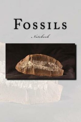 Cover of Fossils Notebook