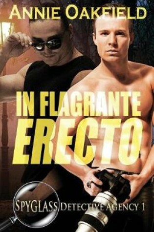 Cover of In Flagrante Erecto