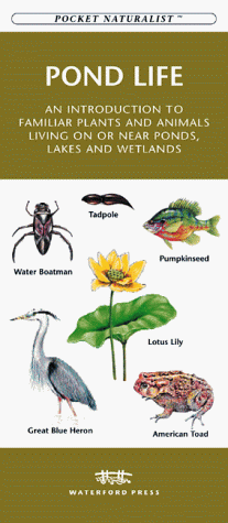 Book cover for Pond Life Reference Cards