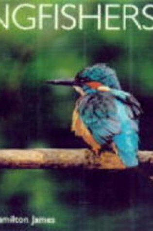 Cover of Kingfishers