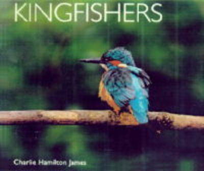 Book cover for Kingfishers