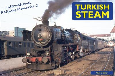 Book cover for Turkish Steam