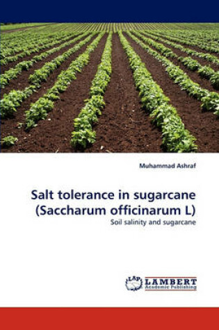 Cover of Salt Tolerance in Sugarcane (Saccharum Officinarum L)