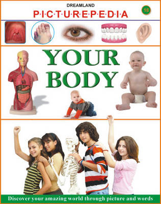 Book cover for Picturepedia Your Body