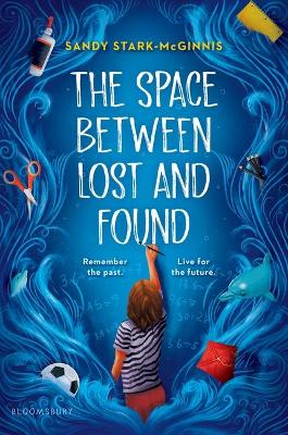 Book cover for The Space Between Lost and Found
