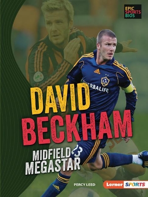 Book cover for David Beckham