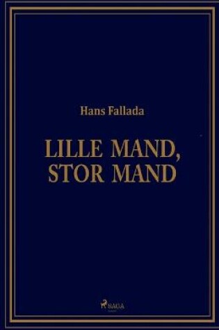 Cover of Lille mand, stor mand
