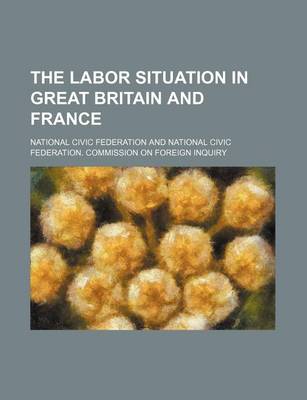 Book cover for The Labor Situation in Great Britain and France