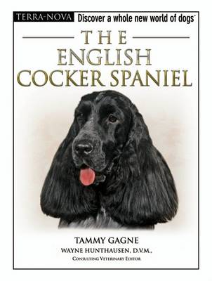 Cover of The English Cocker Spaniel