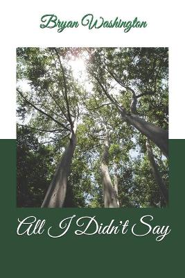 Book cover for All I Didn't Say